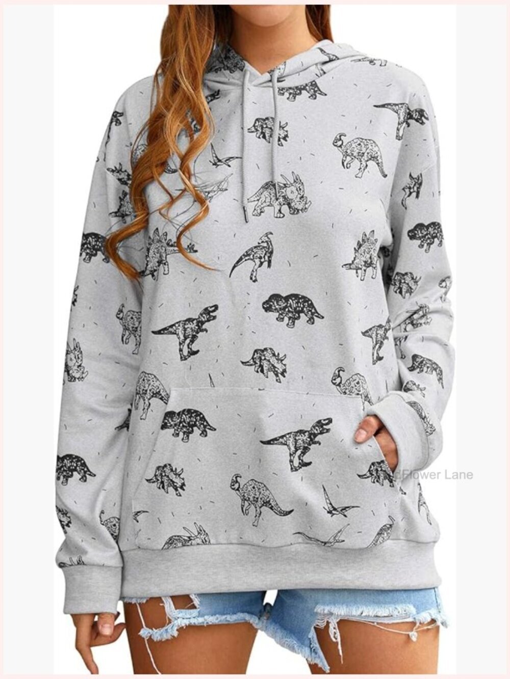 Women Dinosaur Print Graphic Pullover Hoodie Sweatshirt Long Sleeve